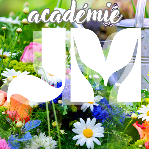 Logo Académie Jean Moulin